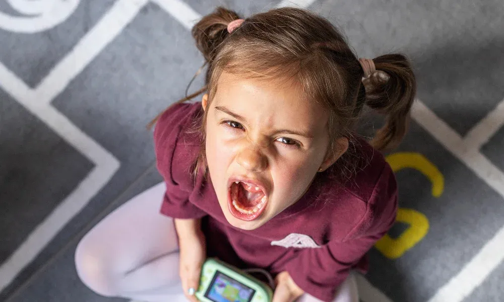 Immagine principale articolo